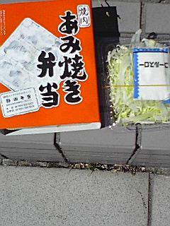 080306_1216~01.jpg