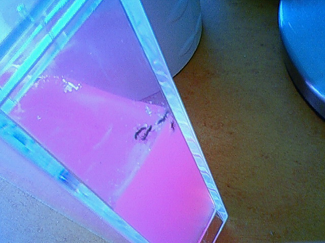 200909091013000.jpg