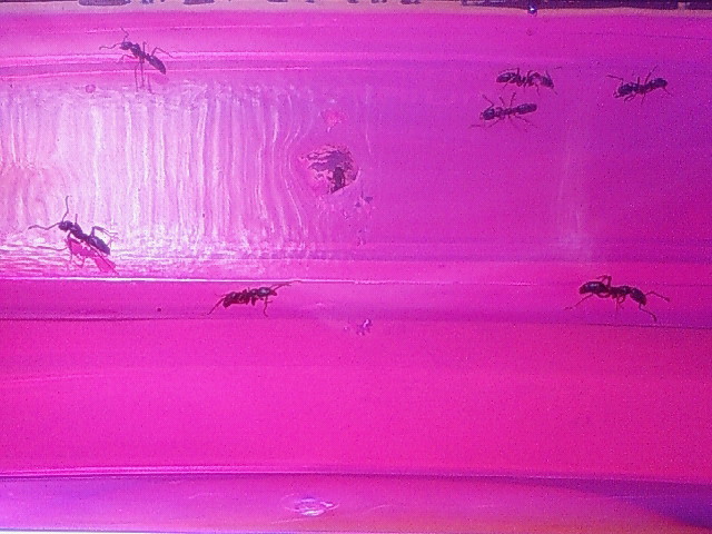 200909141244000.jpg