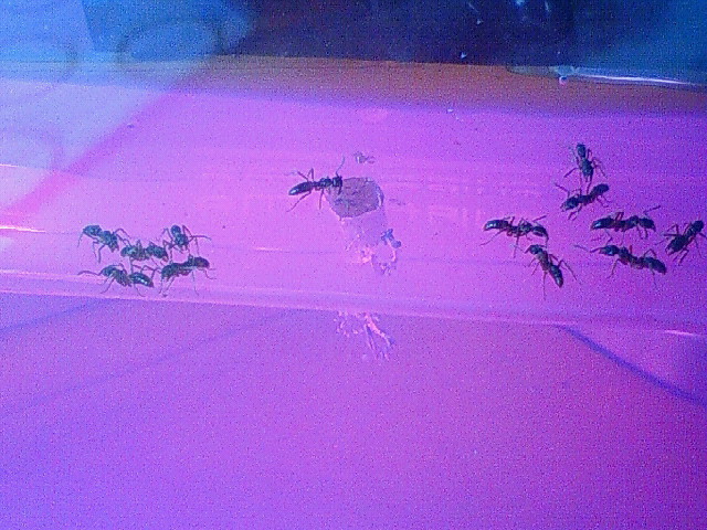 200909141305000.jpg