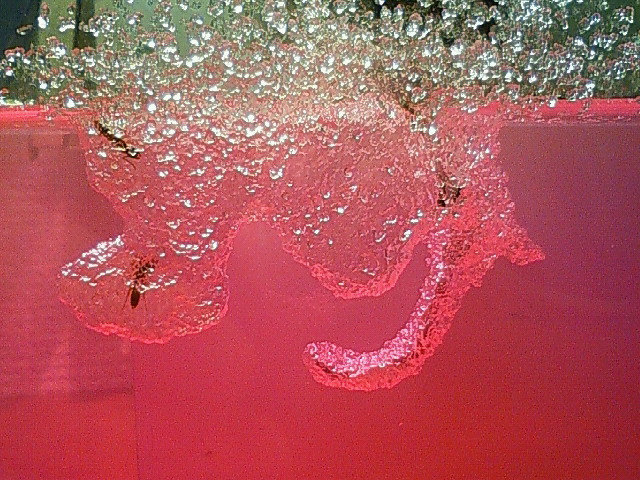 200909162328000.jpg