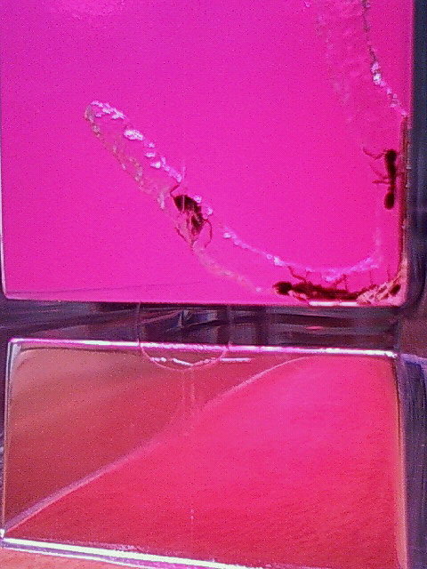 200909262300000.jpg