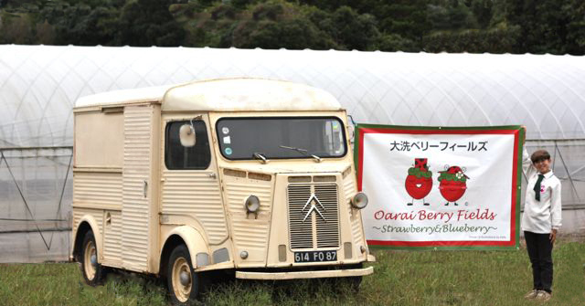 citroen HZ