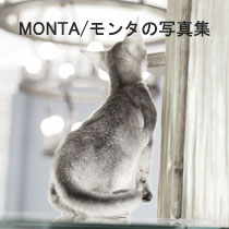 monta-0219.jpg