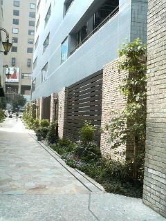 aoyama