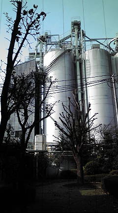 noda