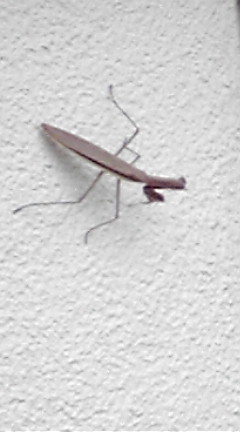 F1030357.jpg