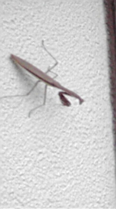 F1030358.jpg
