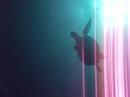グレートバリアリーフのウミガメ『動画』