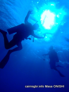 GBR ダイバー