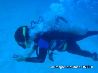 GBR openwater training