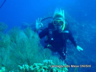 GBR soft coral