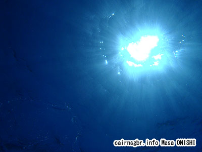 気持ちよい水中世界、