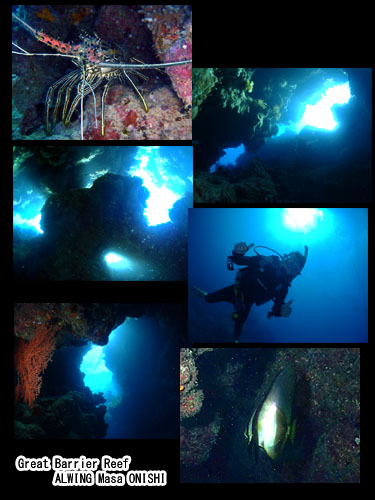 グレートバリアリーフ で PADI オープンウォターダイバー