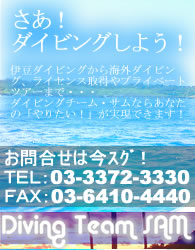 ダイビングチームサムへのお問合せ