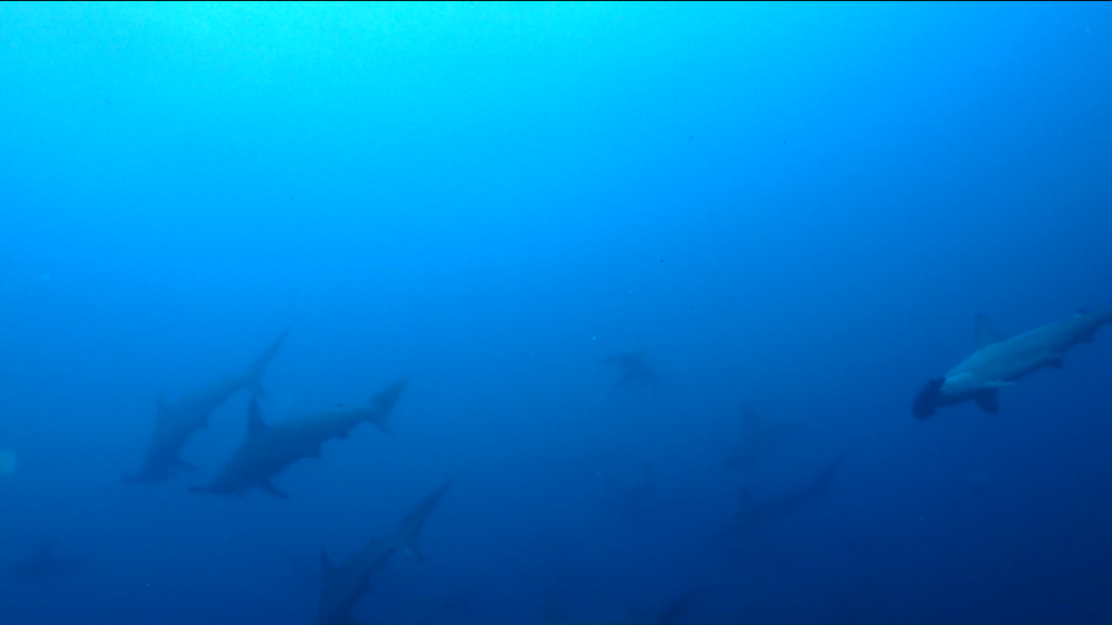 image1.PNG