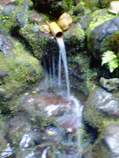 20050812_2633.jpg