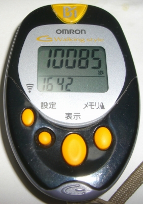 ウォーキングした歩数:10085歩