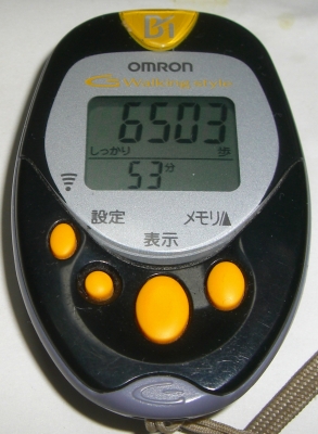 しっかり歩き:6503歩・時間:84分