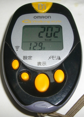 消費カロリー:202キロカロリー・脂肪燃焼量:12.9g
