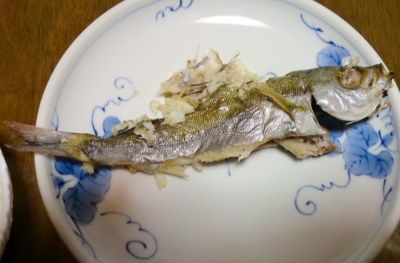 こんがり魚焼きパック〜魚が引っ付いてしまって失敗