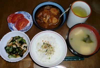 4月 5日(火):晩ご飯〜365キロカロリー