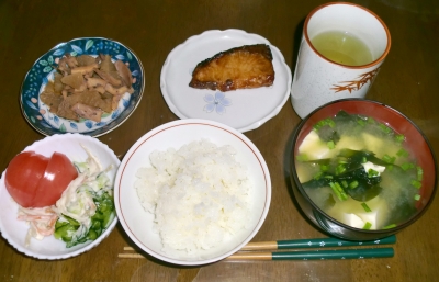 4月13日(水):晩ご飯〜480キロカロリー