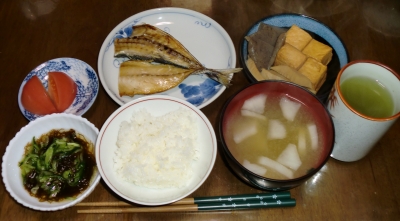 4月20日(水):晩ご飯〜485キロカロリー