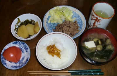 4月21日(木):晩ご飯〜599キロカロリー