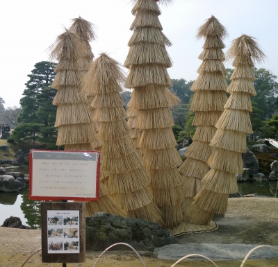 二条城へ行きました!