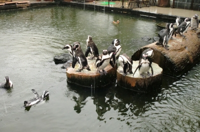 神戸花鳥園