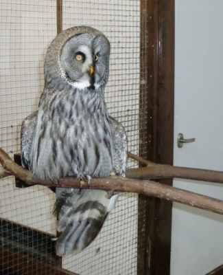 神戸花鳥園