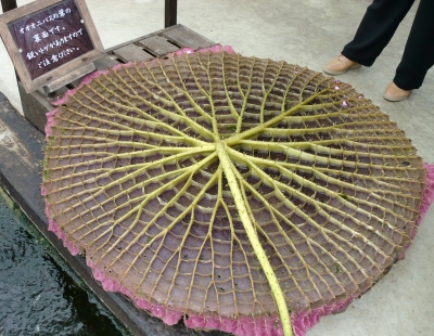 神戸花鳥園