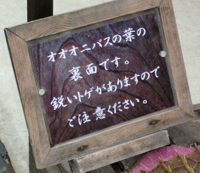 神戸花鳥園