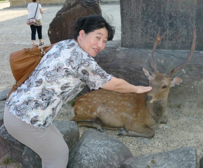 奈良公園には鹿さんです。