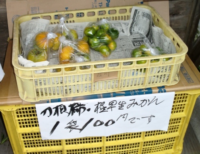 自然の緑や山々の空気は美味しかった!