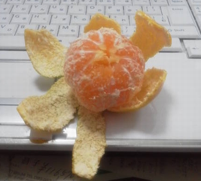 自然の緑や山々の空気は美味しかった!