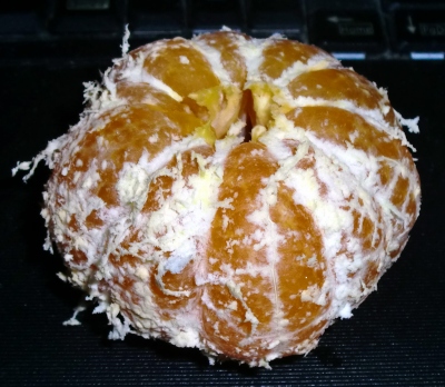 みかんが美味しい季節になりました!