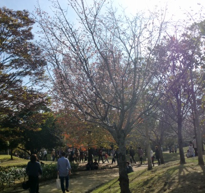 B級グランプリin姫路を楽しみました!