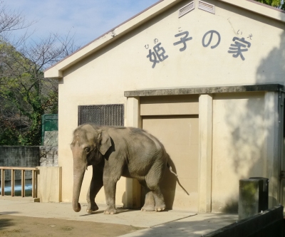 B級グランプリin姫路を楽しみました!