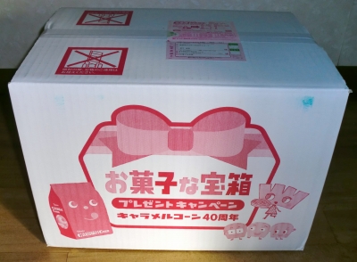 東ハトに年末に応募したら「お菓子な宝箱」が当たりました!