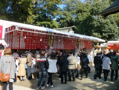 ママチャリに乗って最終日の「椿さん」へお参りへ!