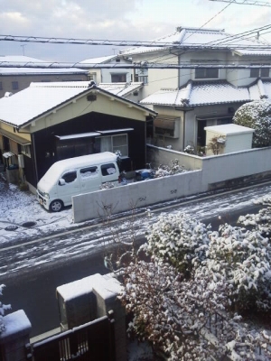 朝起きたら真っ白で雪が積もって耳鼻科へは遅れました