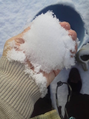 朝起きたら真っ白で雪が積もって耳鼻科へは遅れました