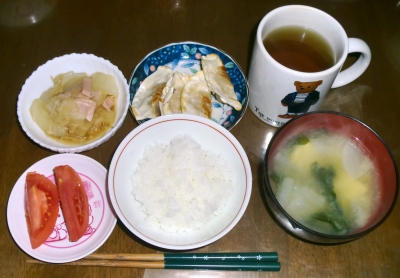 毎日、低カロリーな晩ご飯を!(2.11〜2.17)