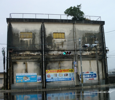 枕崎の濃いたっぷり満喫ツアー〜ど根性アコウ神祠設置工事編!