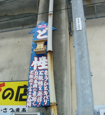 枕崎の濃いたっぷり満喫ツアー〜ど根性アコウ神祠設置工事編!