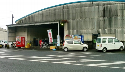 枕崎の濃いたっぷり満喫ツアー〜楽しい思い出を後にして!