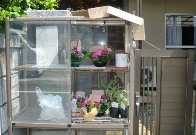 今年も店頭販売は、完売に感謝でした!