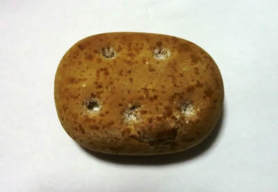 今日のおやつは「じゃがバターまんじゅう」でした!